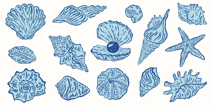 Hand drawn blue seashells set. Coastal ocean travel minimalist line art. Tropical beach shells drawing ink. Vector Summer vacation design elements for trendy prints, label, menu cover, scrapbooks