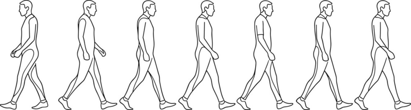 Walking man line art sequence showing step by step motion isolated on white background representing human gait cycle and movement study