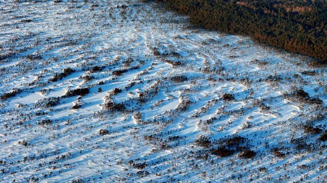 Deep in the heart of Latvia the pristine Kemeri bog transforms into a frozen labyrinth of winding patterns where dusting of fresh snow highlights the mystical ridges and dormant vegetation
