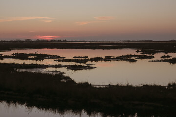 Fototapeta premium View of salt marshes in the Venetian lagoon, Italy, wild landscape with tidal waterways at sunset
