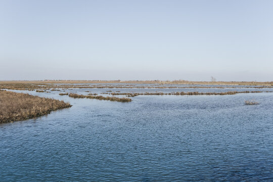 View of salt marshes in the Venetian lagoon, Italy, wild landscape with tidal waterways