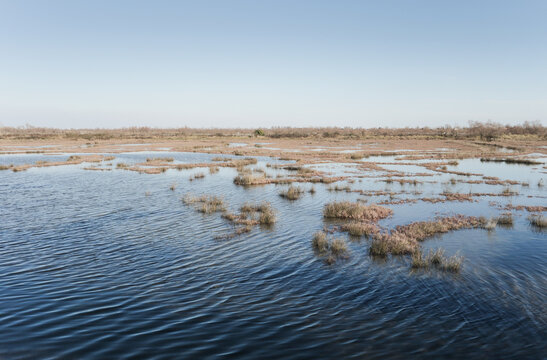 View of salt marshes in the Venetian lagoon, Italy, wild landscape with tidal waterways