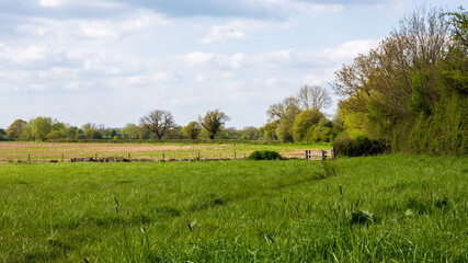 Fototapeta premium Peaceful green meadow with a wooden gate leading into a lush rural countryside landscape.