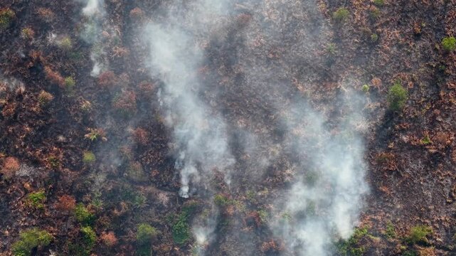 Smoke rises from scorched earth