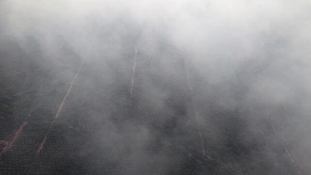 Smoke billows across dark, charred earth