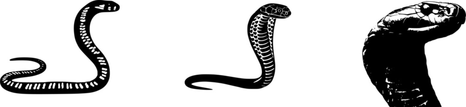 A photorealistic macro captures the intricate details of a King Cobras hood, showcasing its iconic spectacle marking against a pure white background