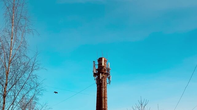Gas heating pipe against blue sky, rusted industrial chimney framed by bare birch branches, scattered birds in flight, thin