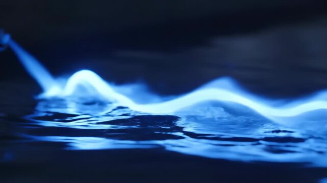 Bioluminescent Algae Glows in Dark Ocean Water.