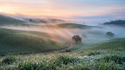 Obraz premium Sunrise over misty rolling hills with green grass and winding dirt path, golden light rays breaking through clouds, serene countryside landscape ideal for travel, wellness, nature, and background use!