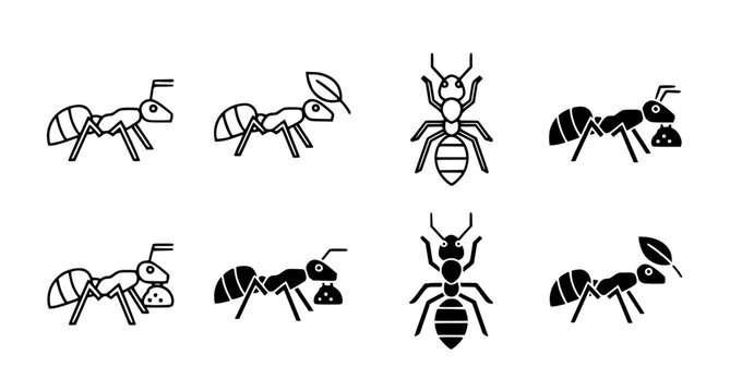 Set of black and white ant icons showing various behaviors and anatomy in flat vector style for biology education and pest control branding materials for professional graphic design projects