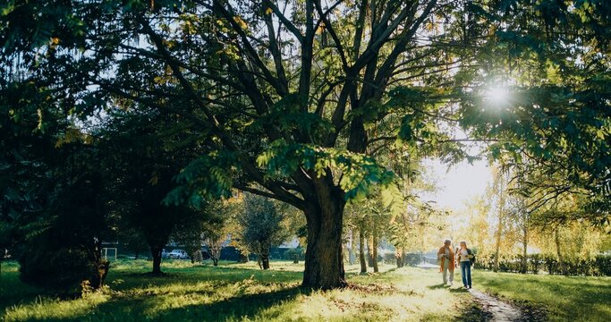 Senior friends enjoying peaceful walk in park