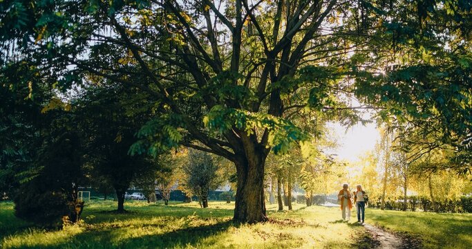 Senior women friends enjoying walking together in park