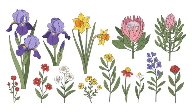 Blossomed floral vector set garden flowers botanical border illustration