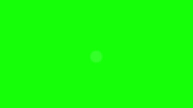 A vibrant floral design video featuring a white circle with purple flowers and green leaves on a bright green background