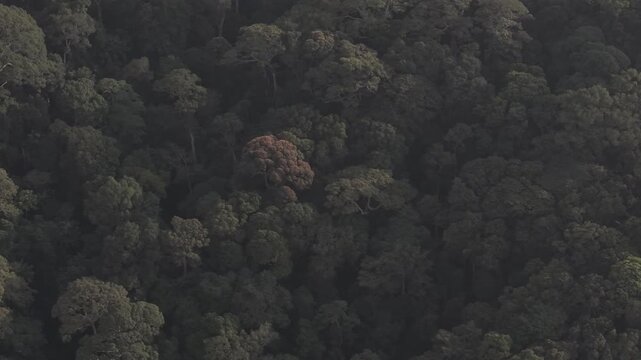 "Bualapa town, Xe Bang Fai Cave, Xieng lue Waterfall within Hin Namno National Park, together with Phong Nha-Ke Bang, are recognized as World Natural Heritage sites." 4k footage