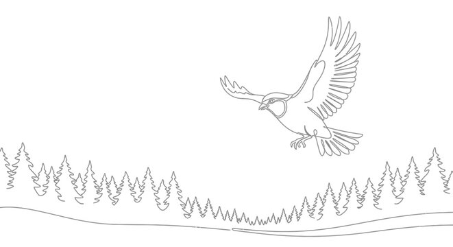 Minimalist single line drawing of a blue jay in flight over a pine forest landscape.