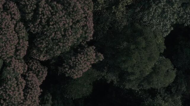 "Bualapa town, Xe Bang Fai Cave, Xieng lue Waterfall within Hin Namno National Park, together with Phong Nha-Ke Bang, are recognized as World Natural Heritage sites." 4k footage