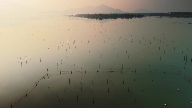 Fishing nets and bamboo poles form geometric patterns on a calm vietnamese lagoon at sunrise, reflecting golden light over a traditional aquaculture landscape, serene and rural