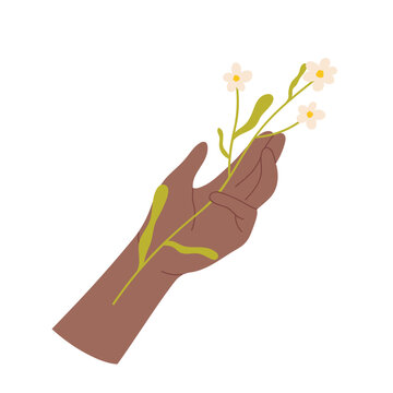 Wild flower branch in human hand. Blooming summer flowers, forest flora cartoon vector illustration