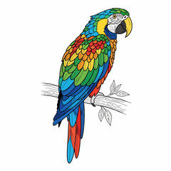 Obraz premium Parrot perched on a branch showcases vibrant colorful feathers in this decorative hand-drawn style illustration.