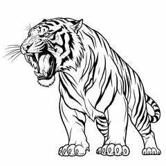 Obraz premium Tiger roars with bared fangs in a detailed black and white illustration for creative projects.