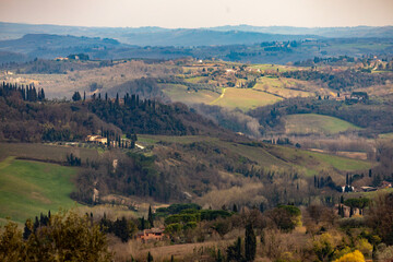 Naklejka premium Rolling Hills panorama with cypress trees in Tuscany, Italy