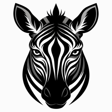 Cartoon African zebra head, front view. Portrait zebra with stripes..  Vector illustration isolated on white background.
