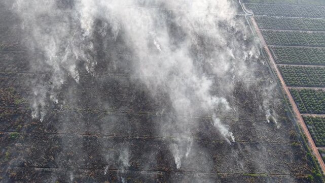 Smoke rises over scorched earth
