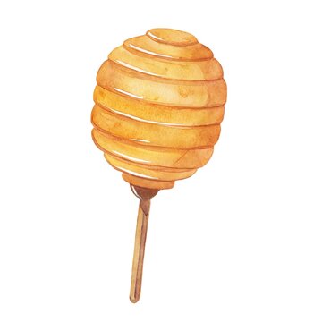 Hand-painted watercolor illustration of a wooden honey dipper. Traditional organic honey spoon isolated on white background.