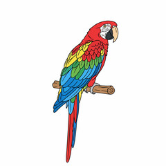 Fototapeta premium Parrot perched on a wooden branch showcases vibrant plumage and detailed feathers in this colorful illustration.