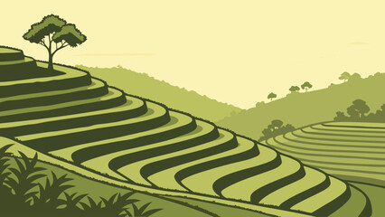 Terraced rice field landscape illustration with landscape agriculture farmland © khadija