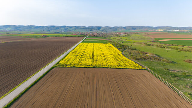 Aerial view of earth-toned fields juxtaposed with vibrant yellow crops, divided by a slender road, stretching towards distant hills, Sremska Mitrovica, Vojvodina, Serbia.