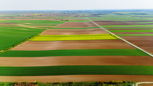 Aerial view of a striking tapestry of emerald green, rich brown earth, and golden yellow fields, bisected by a white path, Sremska Mitrovica, Serbia.