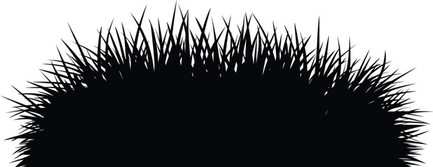 Black silhouette of grass blades against  © MDRAJU