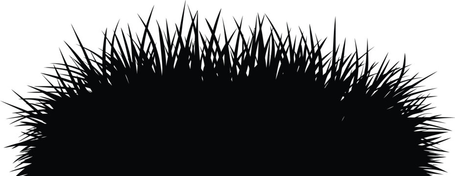 Black silhouette of grass blades against 
