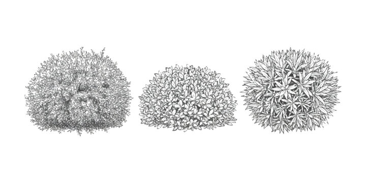 Set of three hand drawn garden bushes and shrubs in black and white sketch style