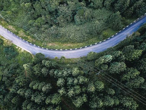 Aerial view of a sinuous asphalt road, a dark ribbon, gracefully carving through a vast expanse of lush, emerald green forest, bordered by crisp white and black barriers, Obudu, Cross River, Nigeria.