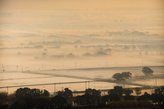 Aerial view of a serene landscape shrouded in a golden morning mist, revealing dark silhouettes of trees and distant structures, Hu Zhou Shi, Zhe Jiang Sheng, China.