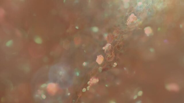 Rust B7410E Hex Code Abstract, Glow, Particles ecommerce promo video advertising marketing animation template online shop commercial intro opener brand motion graphics dynamic modern social media