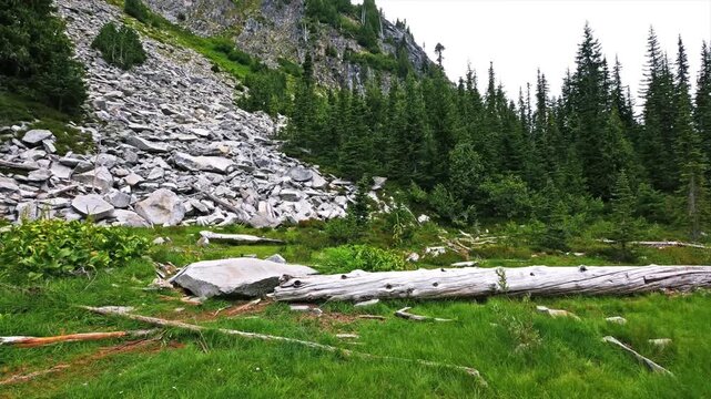 Footage of the scenic and underrated Bench and Snow Lakes Trail in Mount Rainier National Park, Washington State. The trail leads to two pristine alpine lakes nestled in a glacial cirque below Unicorn