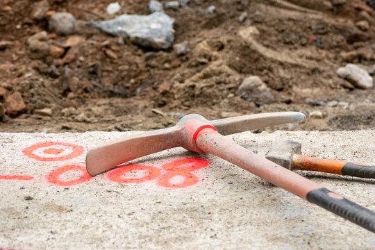 Red rose hips on thorny branch The Concept of Nature