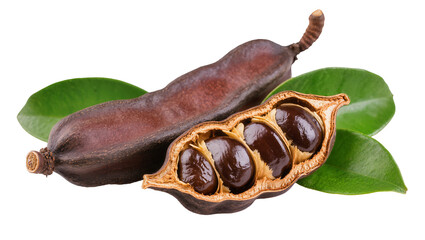 Fototapeta premium Opened Black Myrobalan Plum with Green Leaves and Seeds