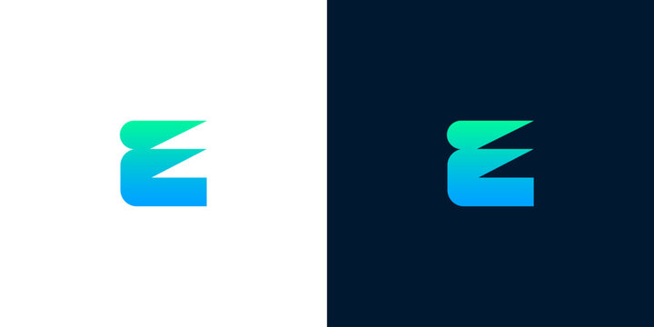 Elegant 'E' letter logo with gradient colors on white and dark backgrounds, modern design