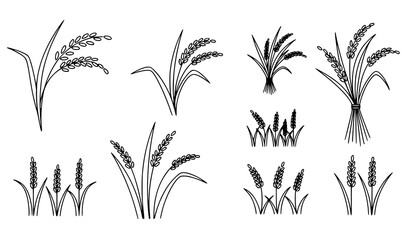 Obraz premium Minimal rice plant harvest vector set with simple grain stalk icons for agriculture concept isolated on white background