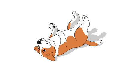 Fototapeta premium Cute Welsh Corgi Puppy Lying on Its Back Playful Vector Illustration