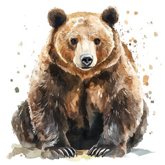 Fototapeta premium watercolor graphic of Bear, isolated on a white background.