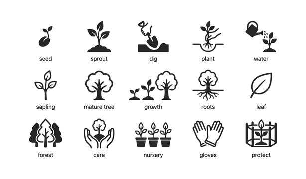 Plant growth and gardening icons arranged in grid on white