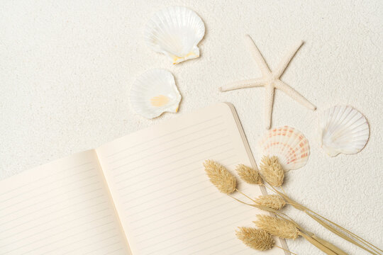 Elegant coastal boho flat lay scene combining dried bunny tail grass stems with delicate white seashells, scallop shell, and a starfish arranged on an open white notebook.