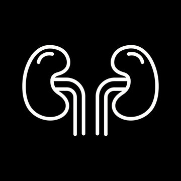 Kidneys Vector Icon