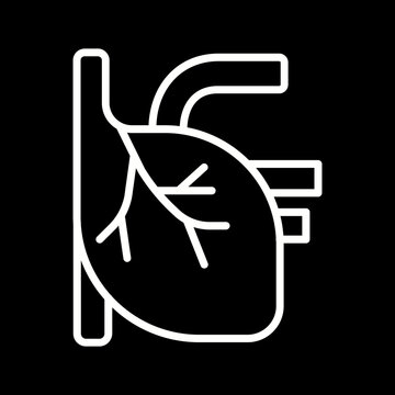 Circulatory System Vector Icon